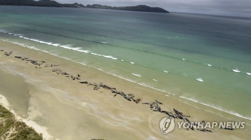 고래주유소 이미지