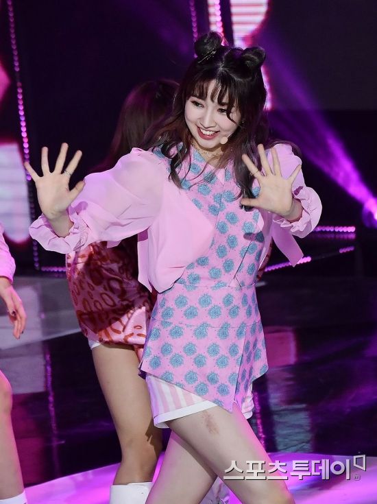 로하 이미지