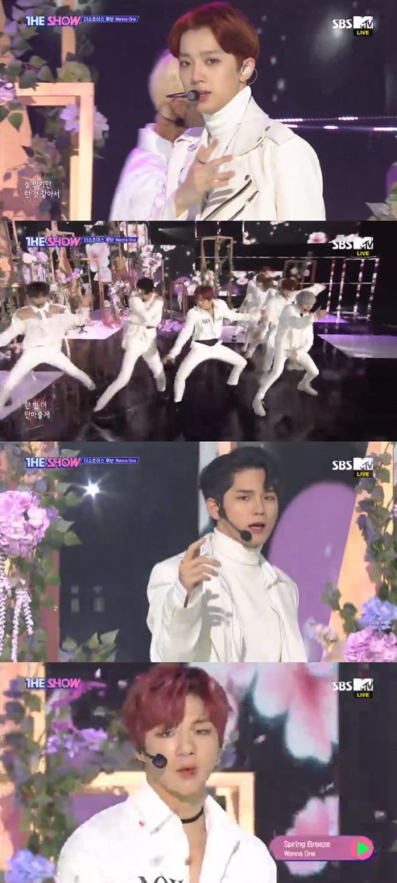 /사진=SBS MTV '더 쇼' 방송화면 캡처
