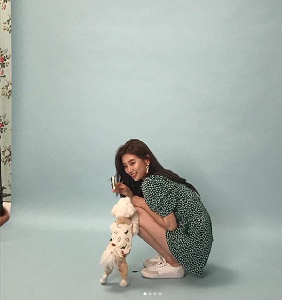 Singer and actor Bae Suzy reveals her lovely beautyBae Suzy posted several photos on his 27th day with an article entitled I want to see the front but I look at it because it is cute.In the open photo, Bae Suzy is in the midst of shooting in the studio. Bae Suzy poses with a puppy, and a lovely beauty catches the eye.Meanwhile, Bae Suzy will appear in the drama Bae Bond scheduled to air next year.Photo: Bae Suzy SNS