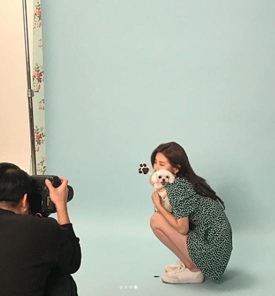 Singer and actor Bae Suzy reveals her lovely beautyBae Suzy posted several photos on his 27th day with an article entitled I want to see the front but I look at it because it is cute.In the open photo, Bae Suzy is in the midst of shooting in the studio. Bae Suzy poses with a puppy, and a lovely beauty catches the eye.Meanwhile, Bae Suzy will appear in the drama Bae Bond scheduled to air next year.Photo: Bae Suzy SNS