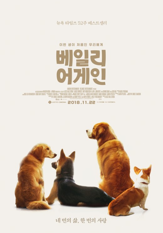 번어게인 이미지