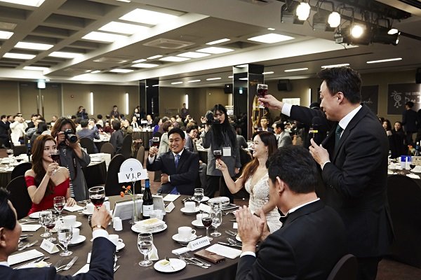 브이지에스 이미지