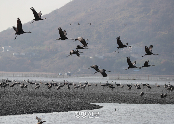 두루미사진관 이미지