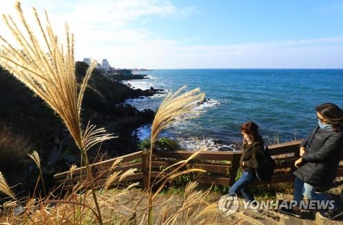 제주를 찾은 관광객 (제주=연합뉴스) 박지호 기자 = 비구름이 물러간 12일 제주시 용두암을 찾은 관광객이 해안을 산책하고 있다. 2018.11.12 jihopark@yna.co.kr