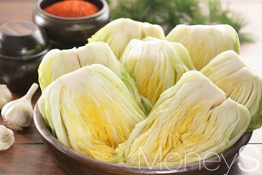대관령농산물판매 이미지
