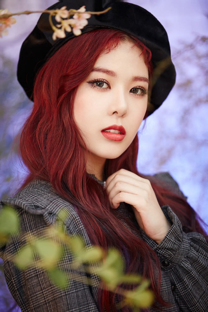 하이디 이미지