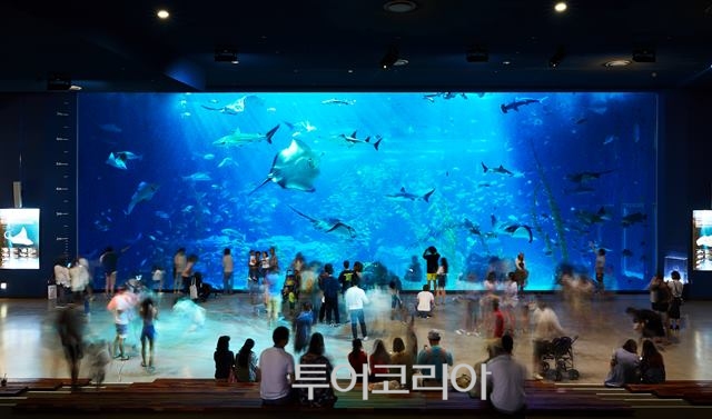 제주가좋다 이미지