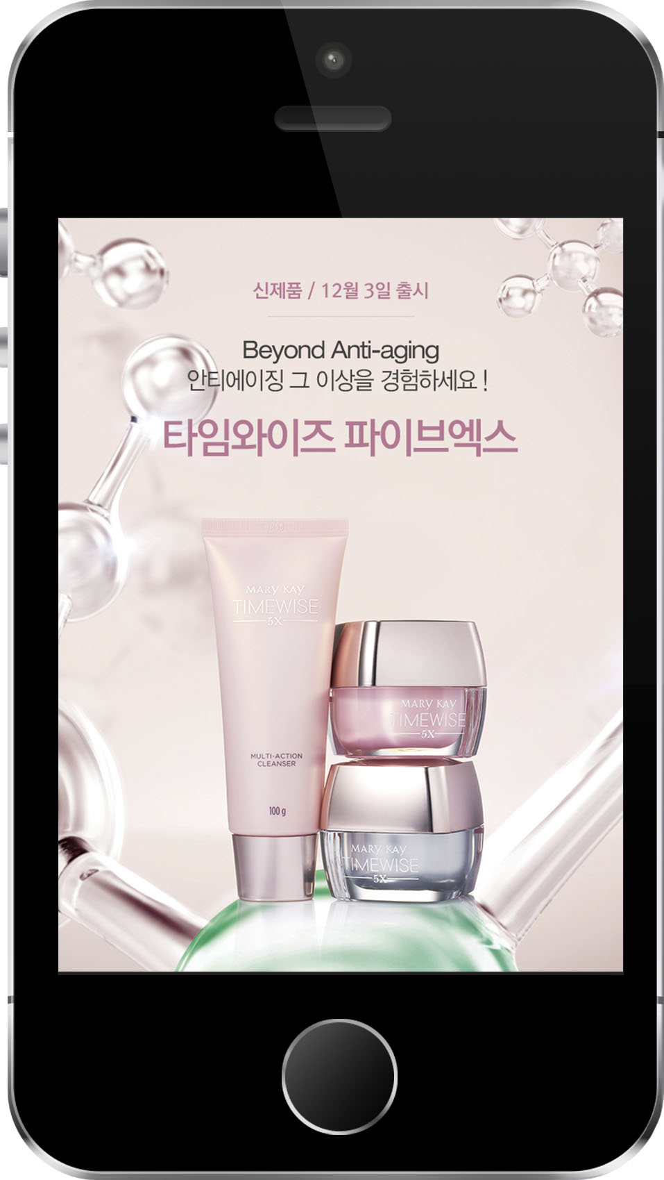 와이즈케이컨설팅 이미지