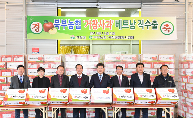 거창사과 이미지