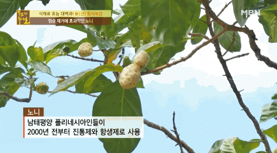 동광식품 이미지