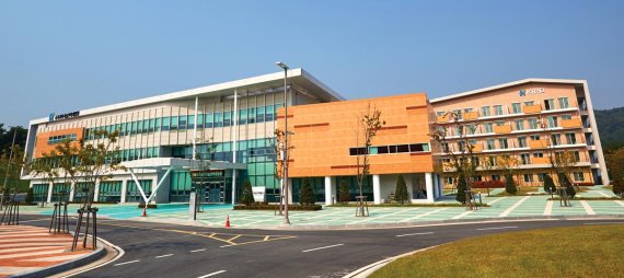 국제인력개발원 이미지