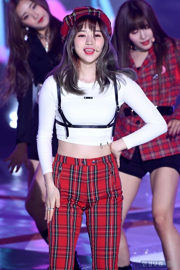 로하 이미지
