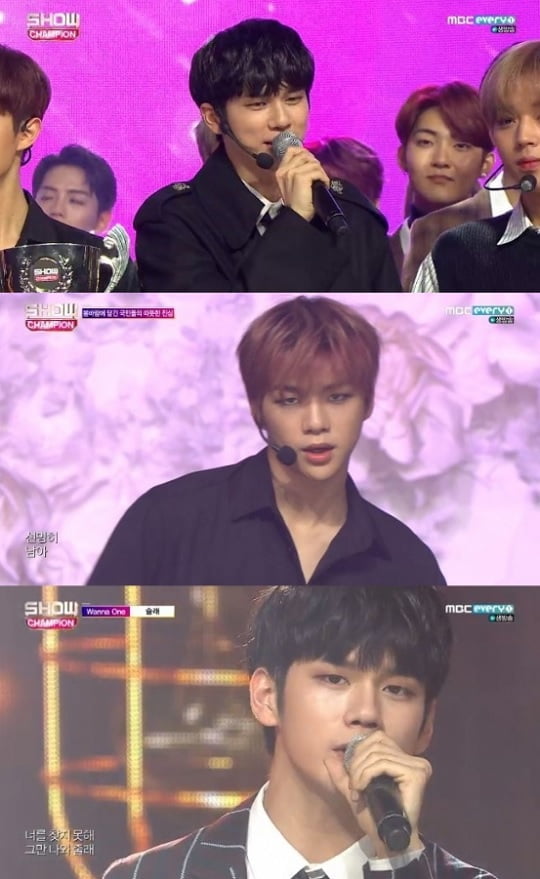 ...Wanable is all I have.On the 5th MBC Everlon music program Show Champion, Wanna One was the first place with Spring breezeWith the victory, the glory was given to the fans.On the afternoon of the afternoon, Wanna One climbed to the stage of Show Champion held at MBC Dream Center in Ilsan, Goyang City, Gyeonggi Province, and set up an emotional melody and a song Spring Breeze with sad but beautiful lyrics.first placeWanna One, who won the title, said, Wannable, thank you so much. I will work harder. There is only Wannable.MAMAMOO presented the stage of No more drama, which was composed by Sola and Moon, who participated in lyrics and composition.The impressive melody and MAMAMOO powerful vocals, which are full of tension, reminded me of a drama, followed by a comeback with the title song Wind flower.Each of them showed off their charismatic eyes in yellow costumes. MAMAMOO showed off his excitement with his still singing skills.Celeb Five also made a comeback with a shutter. Celeb Five showed off his swordsmanship in uniform. The bizarre pose of the chorus scrambled laughed.On the other hand, Show Champion appeared on the stage with Wanna One, MAMAMOO, NCT 127, EXID, Yubin, Celeb Five, Lovelys, THE BOYZ, Golden Child, Hot Shot, JBJ95, Train to Fall, The Man Black, Dream Note, D-CRUNCH, May and others.