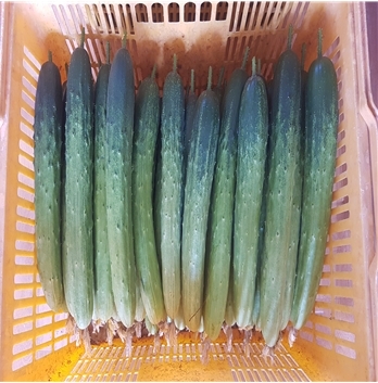 해오름축산 이미지