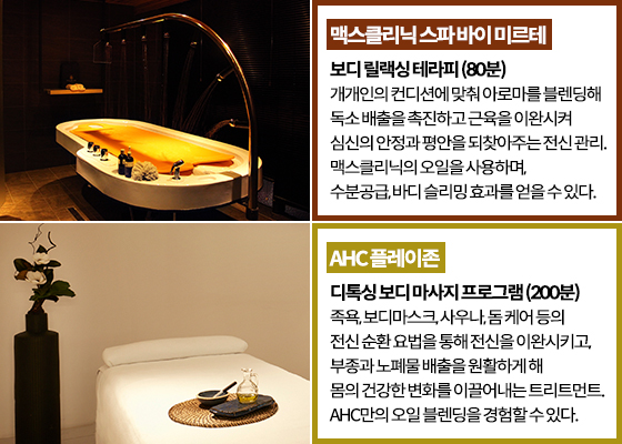 대한마사지협회 이미지