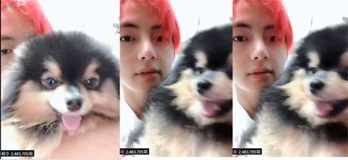BTS V has revealed its affection for Pet briquettes.On the 6th, V posted a 36-second video with the article I tried to upload this yesterday through the official BTS SNS.The video contains a picture of V holding a pet briquette.V poured a lot of affection for Pet, including burying his face in the body of the briquettes and looking at him.In particular, he spoke to Pet, such as Hello, Ami, Try the King, and gave off a friendly side.