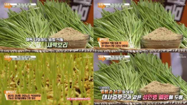 보리모바일 이미지