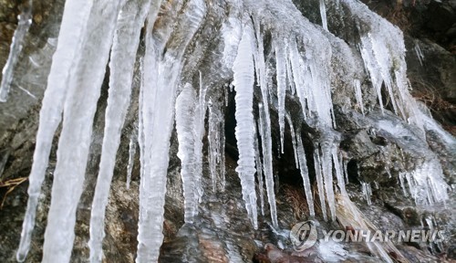 동장군에 대관령 고드름 꽁꽁 [연합뉴스 자료사진]