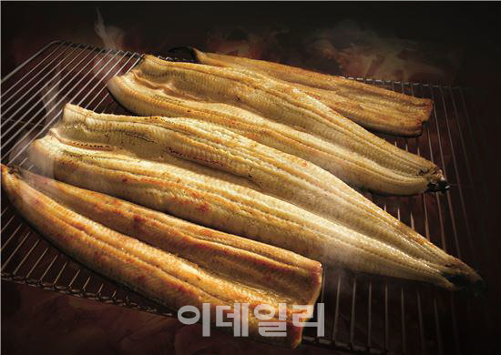 황당한장어 이미지
