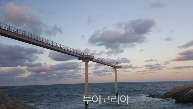 스카이관광여행사 이미지