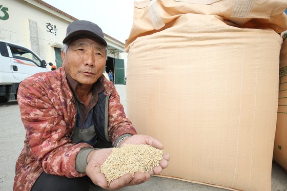 쌀 수매를 앞두고 전남 해남군 화원면 미곡종합처리장(RPC)을 찾은 장수익씨가 올해 수확한 쌀을 들어보이는 모습. [프리랜서 장정필]