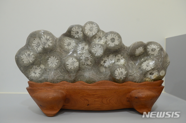 '청송 꽃돌' 세계자연유산 등재 추진..학술용역 보고회 개최