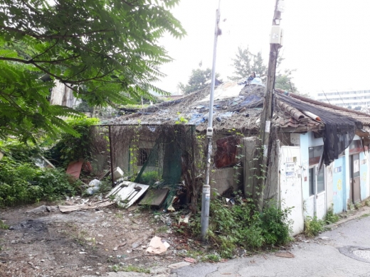 명백사 이미지