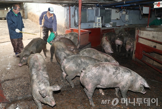 신성식품 이미지