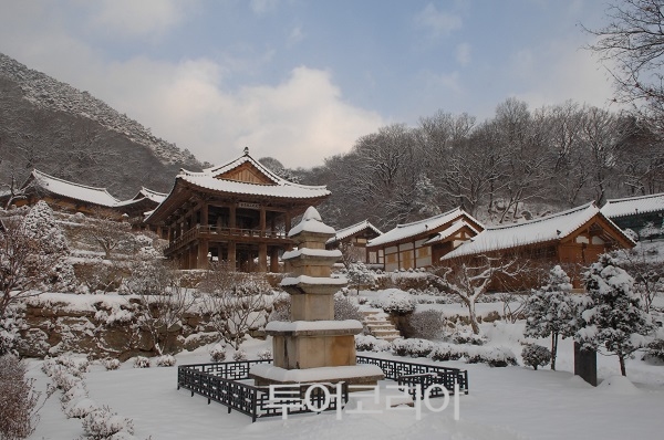 취향 이미지