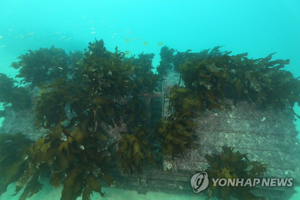 바다상사 이미지