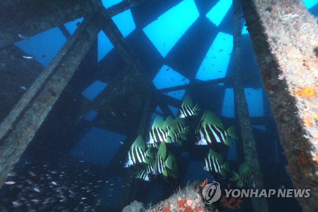 유영상사 이미지