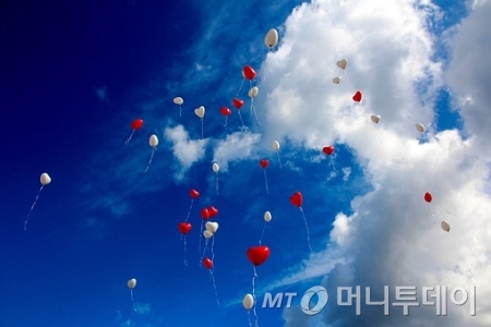 사이유지 이미지