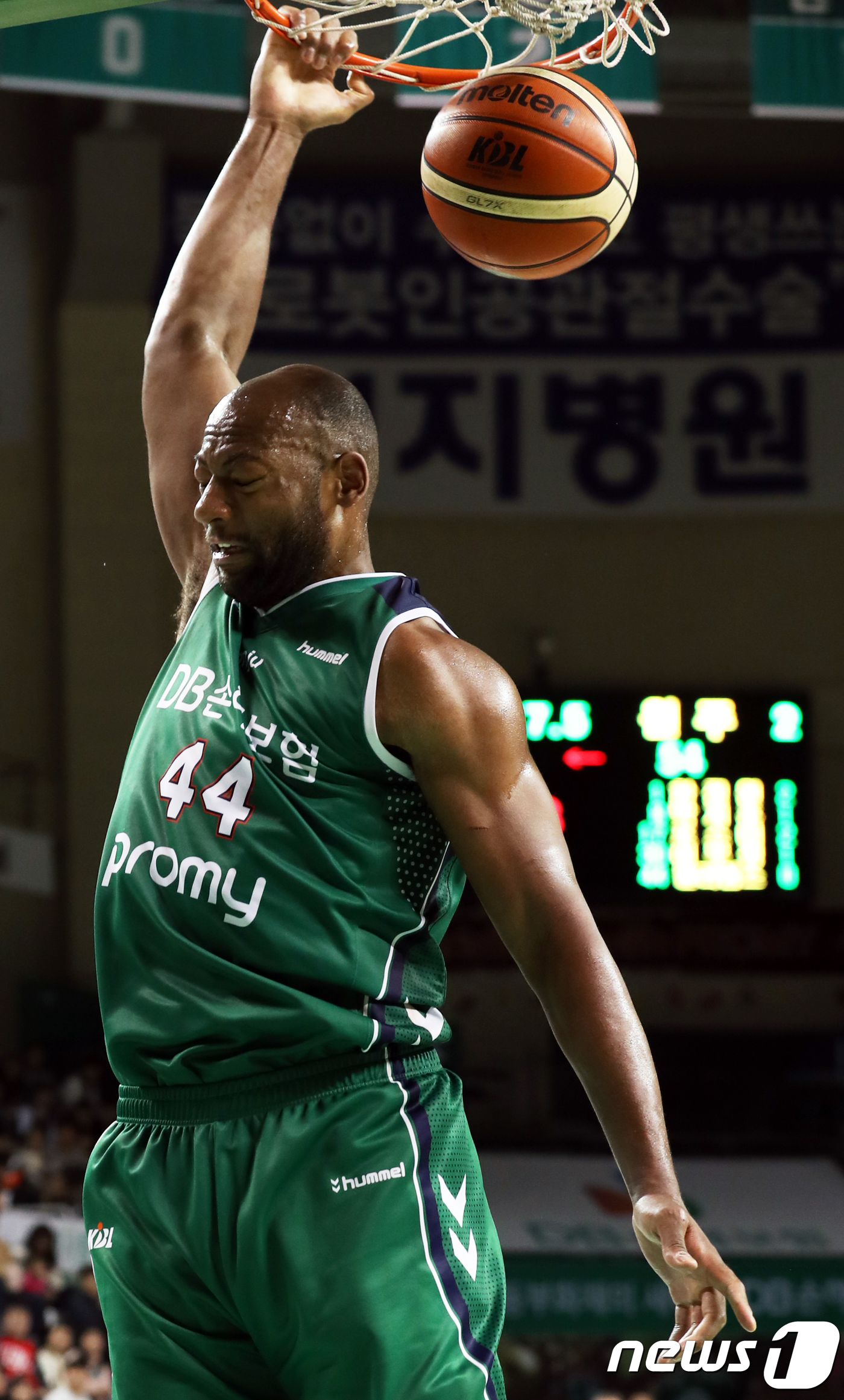 리온 이미지