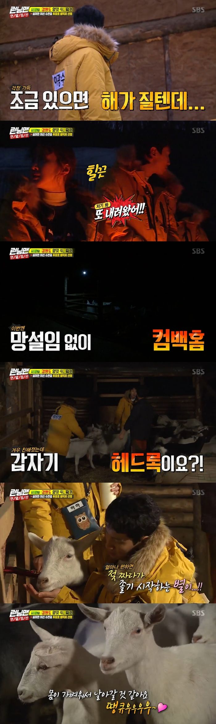Lee Si-young top model for milkingOn SBS Running Man broadcast on the 16th, Lee Si-young team performed the milking mission with the special feature of year-end settlement.Lee Si-youngs team left to perform the mission to a sheep ranch in Gangwon Province.The sheep did not return into the ranch because of the camera and the unfamiliar people.Running Man had to be turned off with a minimum number of people left, but the sheep did not come down in the mountains so deep that they could not see.In the end, all the Running Man members were withdrawn. Lee Si-young was anxious that we would be later than the Hong Kong team.It was not until after sunset that the sheep managed to return to the ranch; Running Man members had time to get to know the sheep first.The ranch boss told me how to walk the headlocks and milk them when they are close.The Chai Rong team decided to milk one person with one head lock and one person feeding in front of the team.But the sheep in Lee Kwang-soos arms struggled and ran away. Lee Kwang-soo explained that people are not the power to hold on, and that she was a bull.Lee Si-young was the Top Model for milking again, and skillfully milked and filled up a bottle in an instant.The Chai Rong team quickly managed to squeeze the 4L milk with Lee Si-young buff.