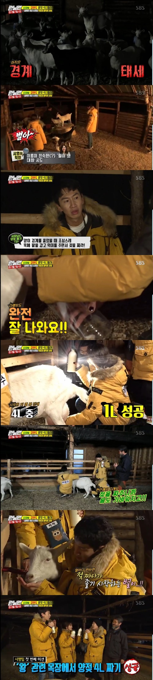 The Running Man Lee Si-young team succeeded in milking.Lee Si-young, Lee Kwang-soo and Haha challenged to squeeze 4L of sheeps milk in the SBS entertainment program Running Man, which was broadcast on the afternoon of the 16th.The three men approached the sheep carefully, and the sheep were wary; the rancher suddenly advised them to walk the Motörheadlock as they were fed and gradually becoming friendly.In the meantime, it was an explanation that we should milk.Lee Kwang-soo fed and Lee Si-young milked Motörheadlock; Haha decided to soothe the sheep and arrange it after taking the bottle.After a failed run, he succeeded in milking 4L. The ranch owner said, If you milk them, they (the sheep) are light and good.