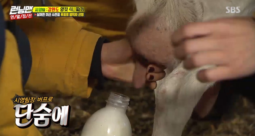 Lee Si-young showed her national-class milking skills.On SBSs Running Man, which aired on December 16, Lee Si-young, Lee Kwang-soo and Ha Ha, who are challenging the 4L mission of Yang-Ul in Gangwon Province, were unveiled.Lee Si-young, who had been working on the same days milking, was the only one who learned how to milk the sheep at the national level.Haha admired Our team leader is great, and Lee Si-youngs team succeeded in the mission by filling 4L amount thanks to the performance of team leader Lee Si-young.