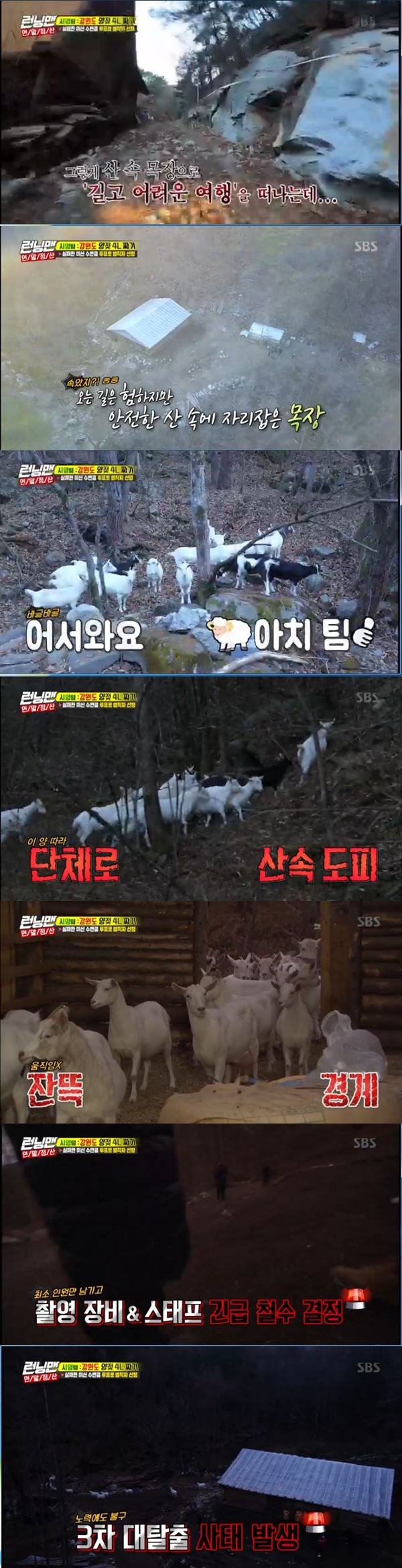 The Yangachi team has been hit by a mission failure Danger.In the SBS entertainment program Running Man broadcasted on the afternoon of the 16th, Lee Kwang-soo, Haha, and Lee Si-young performed a mission to squeeze 4L of sheeps milk at Gangwon-do ranch.The Yangachi team, who found the king-related ranch at once, showed a start to a good start, but they soon hit Danger.The three people entered the forest and tried to get close to each other in their first meeting with the sheep, but the sheep did not come in fear.The rancher belled the sheep home, but when he saw a lot of staff in the ranch, he ran away into the forest in fear.In the ongoing escape of the sheep, the rancher took special measures, saying, Lets turn off the lighting and try to get along with it.Lee Si-young was worried that we are going to be later than the Hong Kong team.The three men watched the rancher sing the sheep, worried, and managed to get them into the house on their last attempt.On the other hand, this weeks broadcast was followed by Running Man members and Lee Si-young, who re-enacted the failed mission this year, Year-end Settlement Race.
