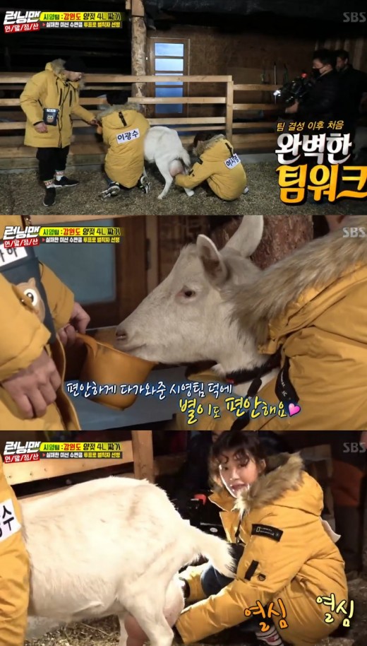 Lee Si-young completed the mission by showing off I Musici of the team leader.On SBS Running Man broadcast on the 16th, Lee Si-young appeared as a guest and challenged to milk with Lee Kwang-soo and Haha.All that leads the team to soothe sensitive sheep and milk is Lee Si-youngs job; Lee Si-young has accomplished his mission by succeeding in milking 4L with skillful skill.Haha praised Lee Si-youngs leadership, saying, Our team leader is really great.After completing the mission, Lee Si-young, Lee Kwang-soo, and Haha laughed by thanking the stars for providing milk.