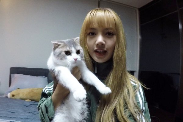 영재채널 이미지