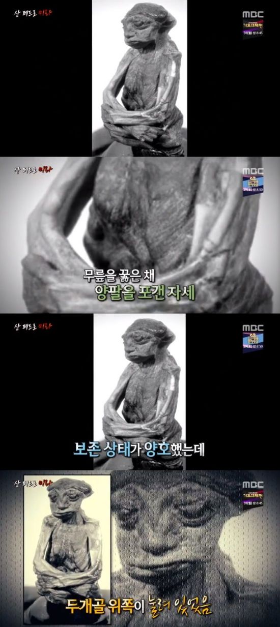 미라 이미지