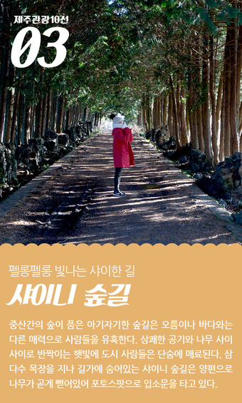 나나관광 이미지