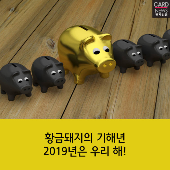 황금 이미지