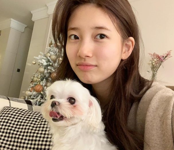 Singer and actor Bae Suzy showed off her Minmuk Beautiful looks; Bae Suzy recently posted a photo of herself on her SNS with Pet.In the photo, Bae Suzy showed off her innocent appearance despite being a stranger, and added warmth to her affection with Pet.Meanwhile, Bae Suzy will appear in the new SBS drama Bae Suzy Bond which will air next year. / Photo = Bae SuzySNS