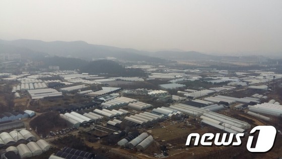 과천 주암 뉴스테이 지구의 모습.(뉴스1 자료사진)© News1