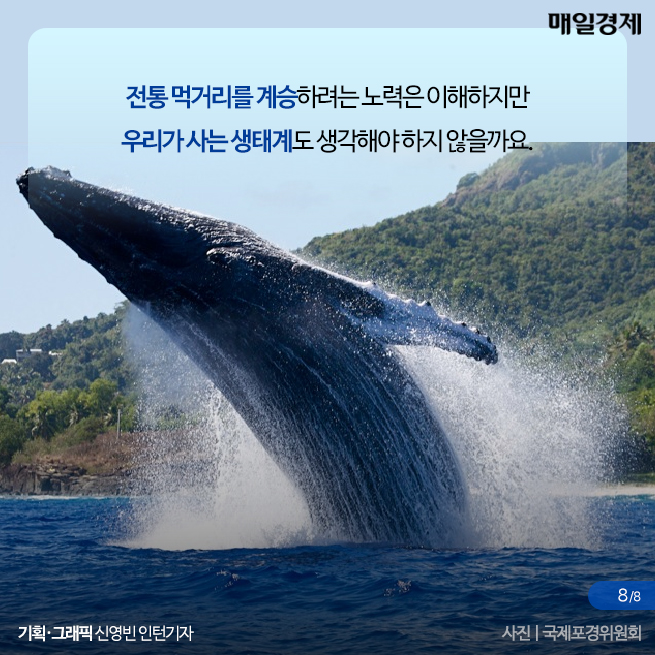 고래사냥 이미지
