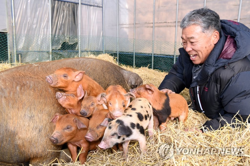황금 이미지