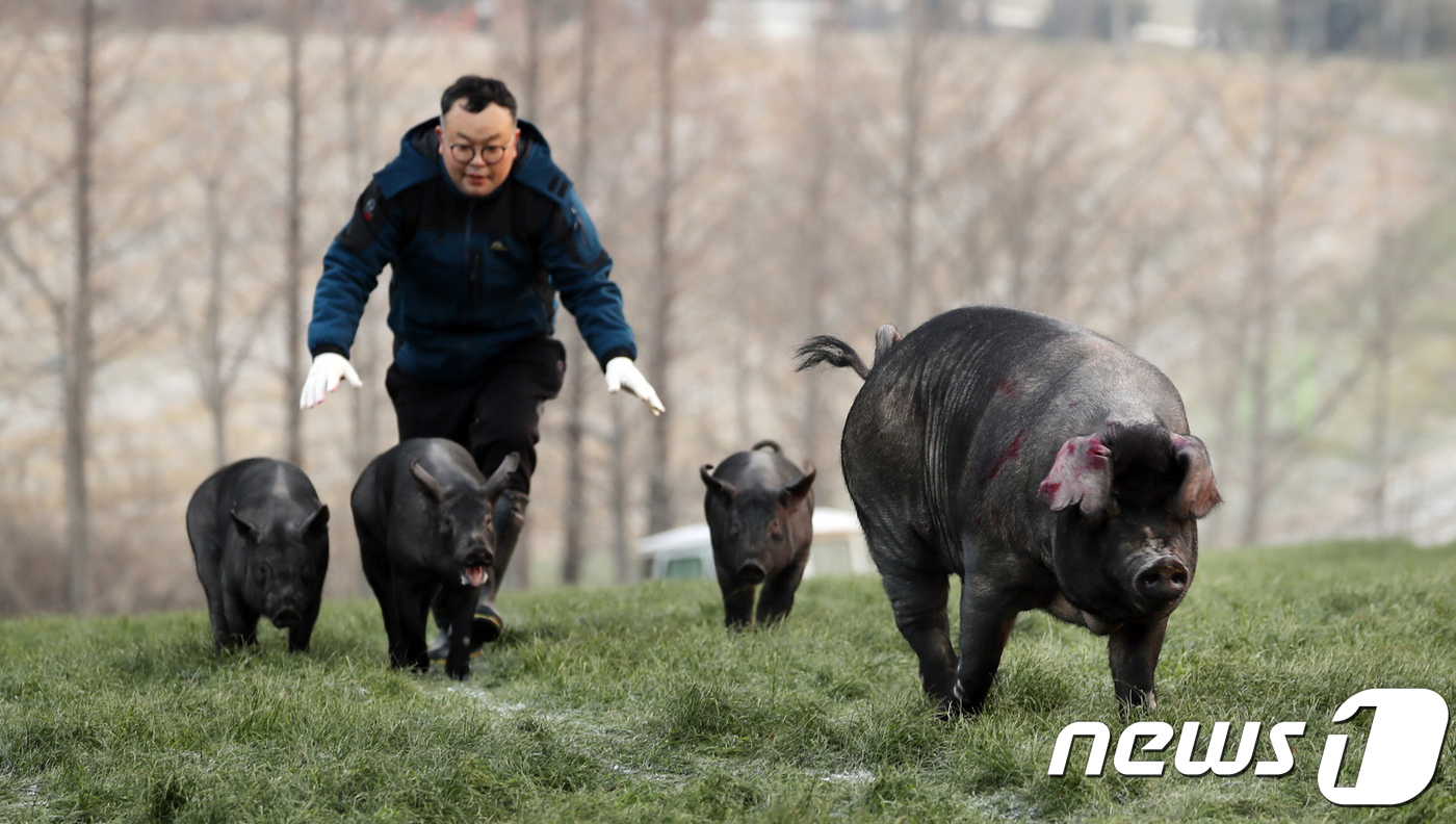 우리네축산 이미지