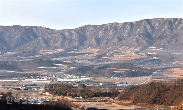 돼지전설 이미지
