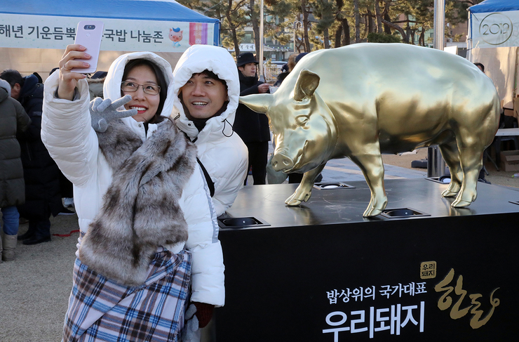 황금돼지 이미지